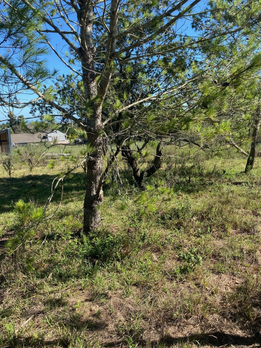 0 Bedroom Property for Sale in Bathurst Eastern Cape